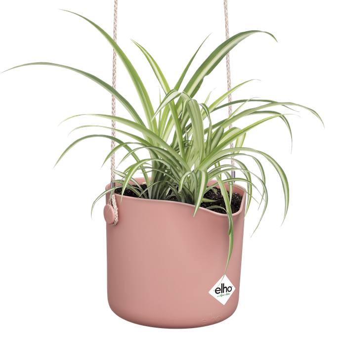 b.for swing 18cm rose poudré